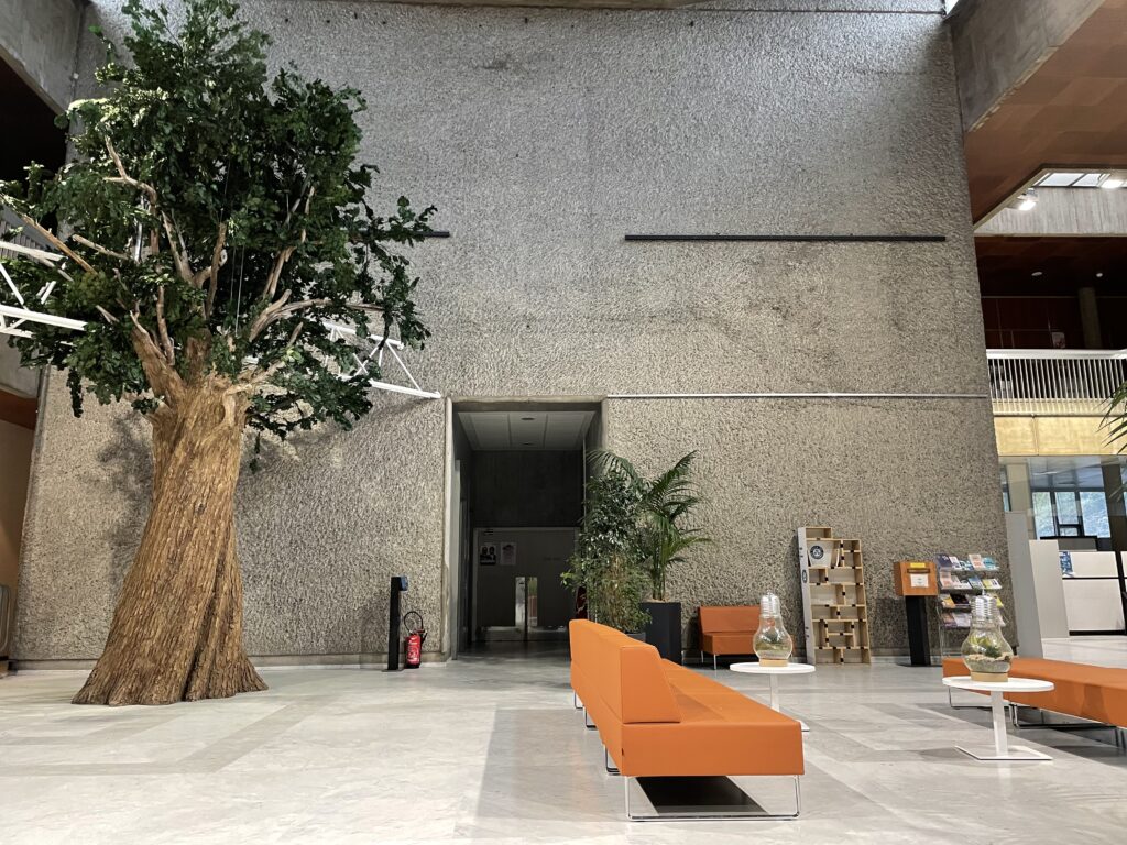 faux arbre Grenoble corentin meige capital verte européenne hôtel de ville mairie France Suisse