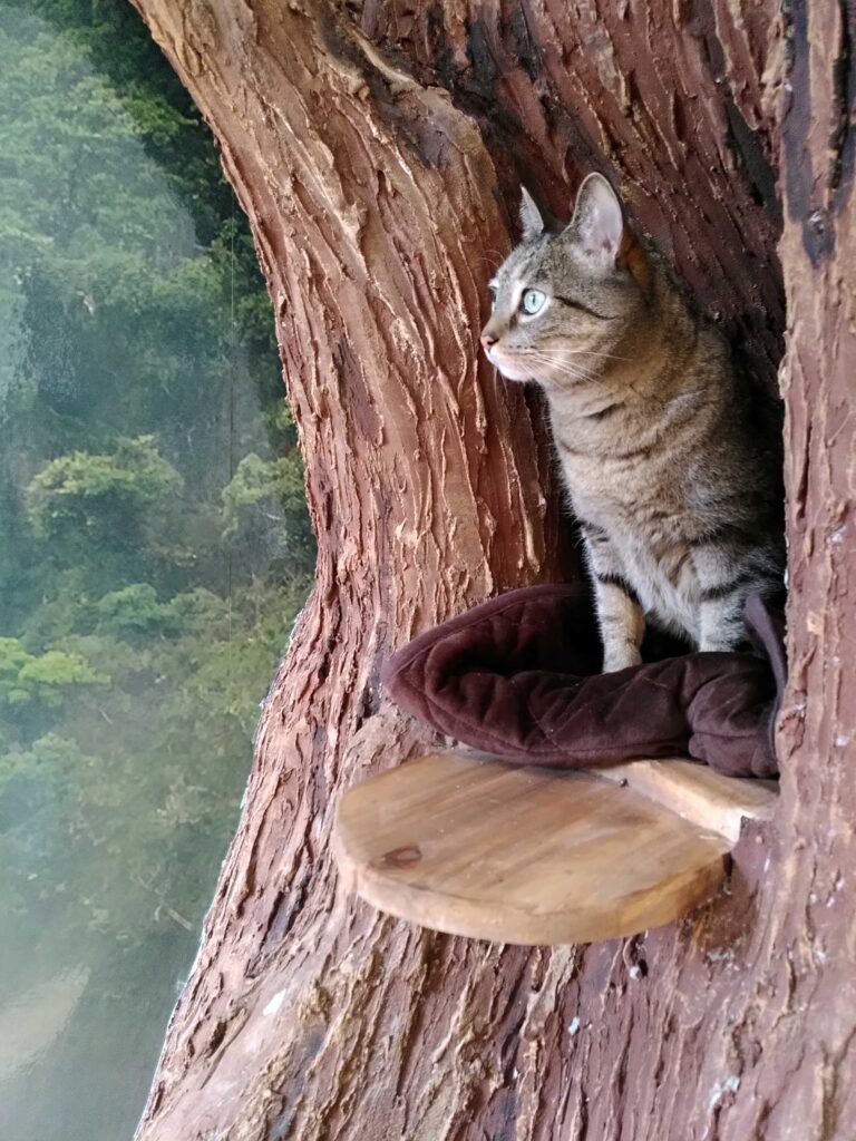 arbre a chat faux arbre artificiel déco décoration corentin meige pension pour chat deco chats 
